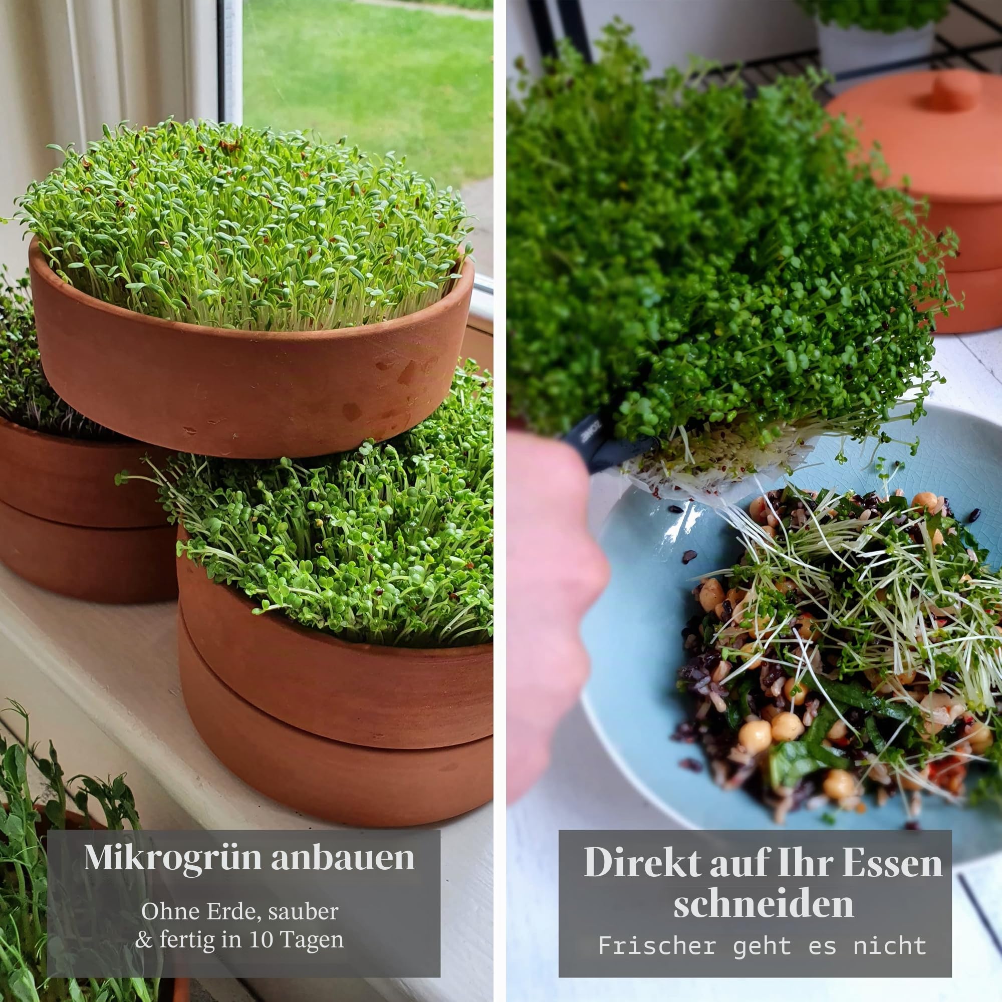 Tonsaatset | 3-teilige Terrakotta-Turm-Papierscheiben und E-Book | 2-in-1-Keimschalen ideal zum Keimen von Sprossen und Microgreens