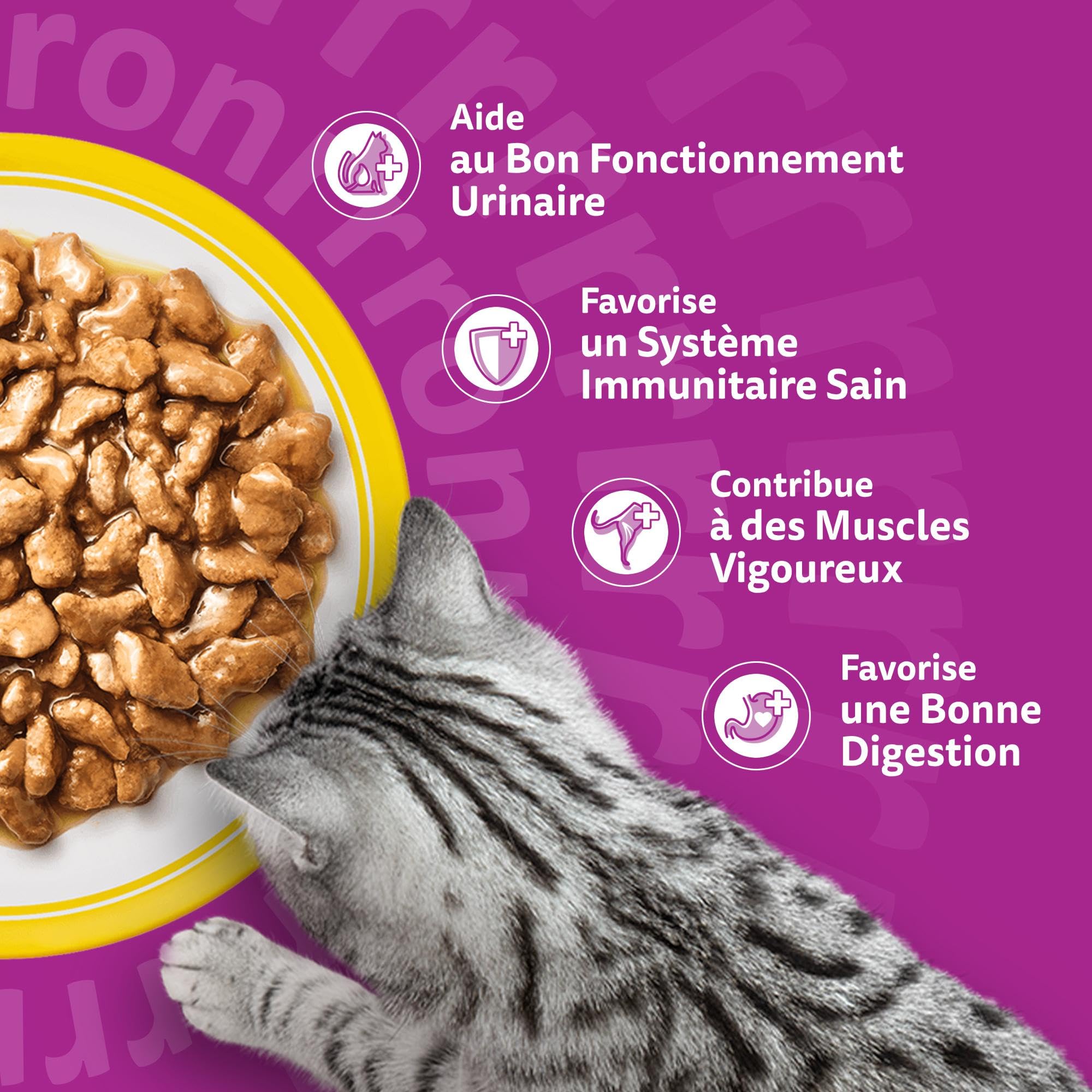 WHISKAS Aliment humide en sauce Chat senior 7+ 12x85g Festins à la Volaille (Lot de 4) 48 Sachets