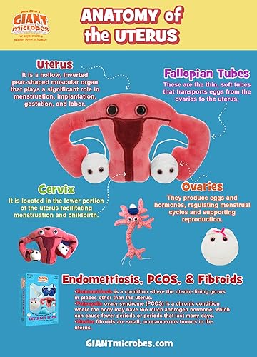 Miniatura 6 de GIANTmicrobes - Juguete de peluche de útero, regalos de histerectomía, conciencia de endometriosis, regalos feministas, regalo de fertilidad, regalo