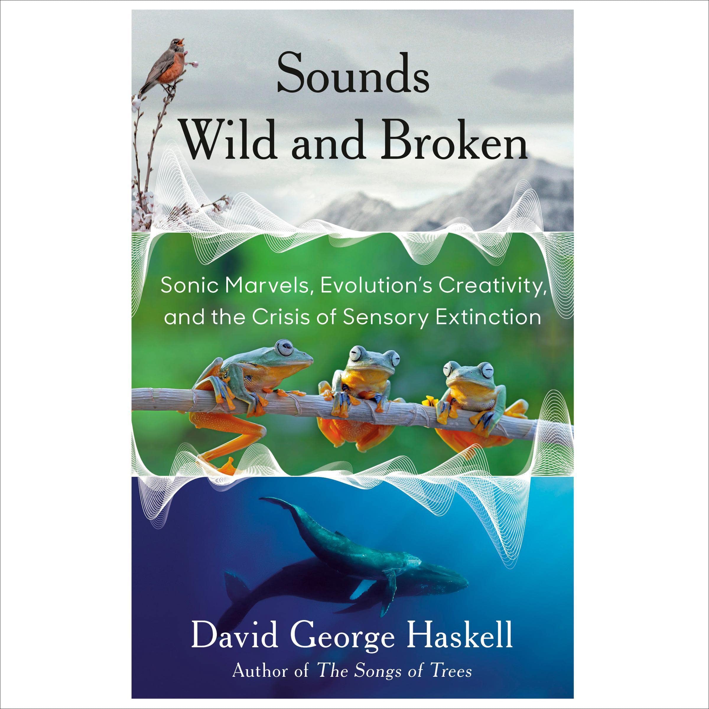 Cover art for Sounds Wild and Broken