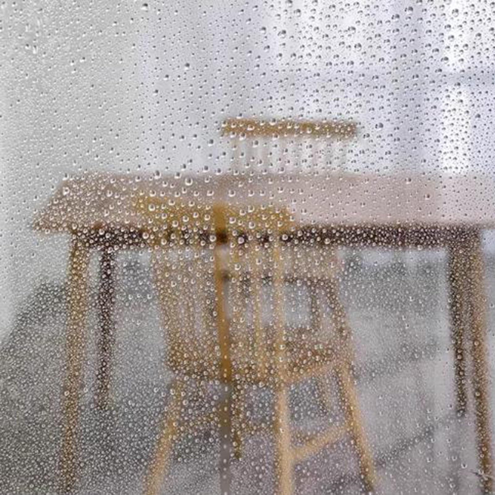 PVC-Streifenvorhang Transparent – 180x300 Cm, Isolierend Für Kühllager, Garage & Hinterhof