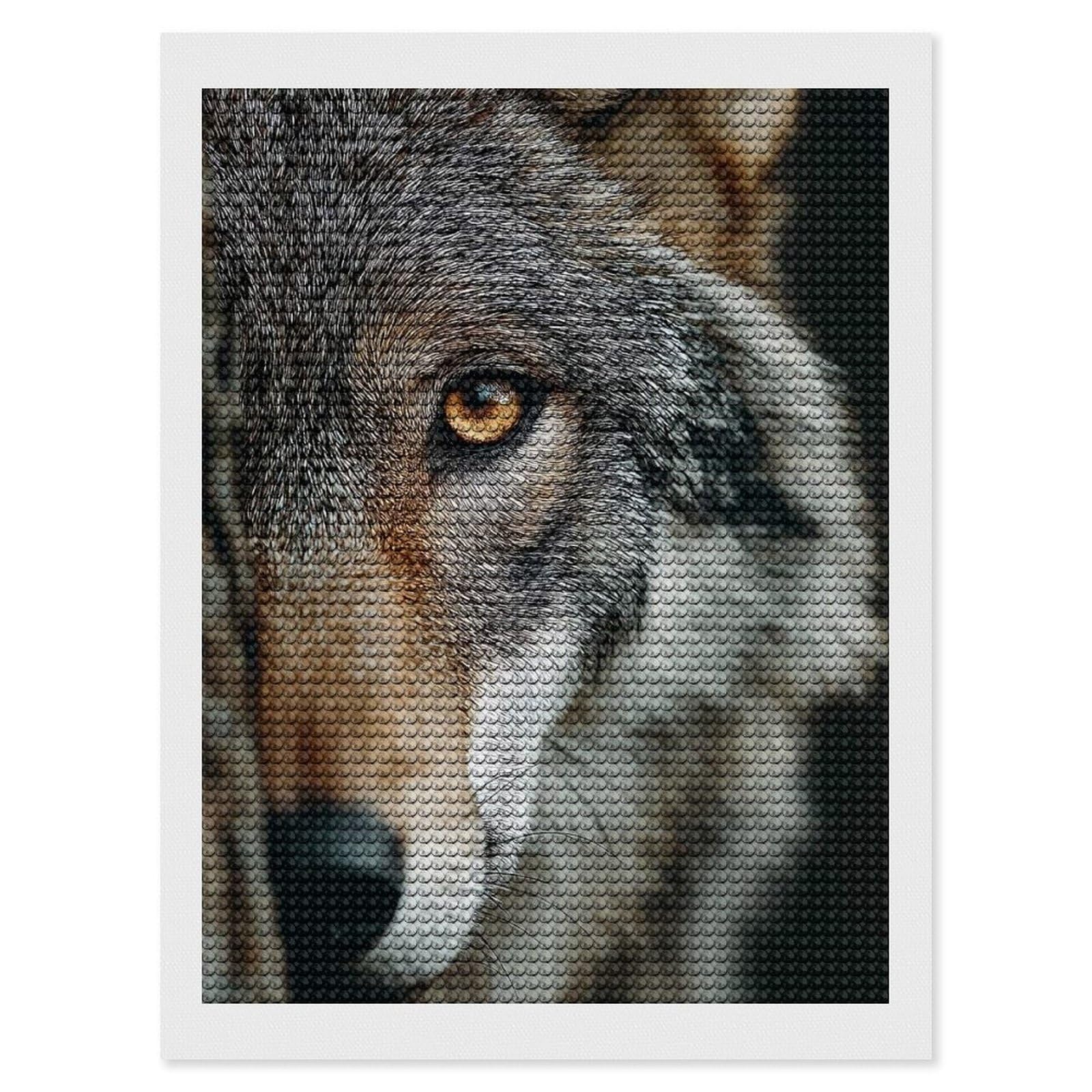 Junmoney Wolf Portrait Close-Up Diamond Painting Canvas Set 12"x16", for Beginners, Complete Accessories, Christmas Gift, Modern Decor