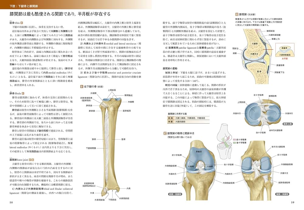 人体の正常構造と機能 カラー図解 人体の正常構造と機能 全10巻縮刷版【電子書籍つき