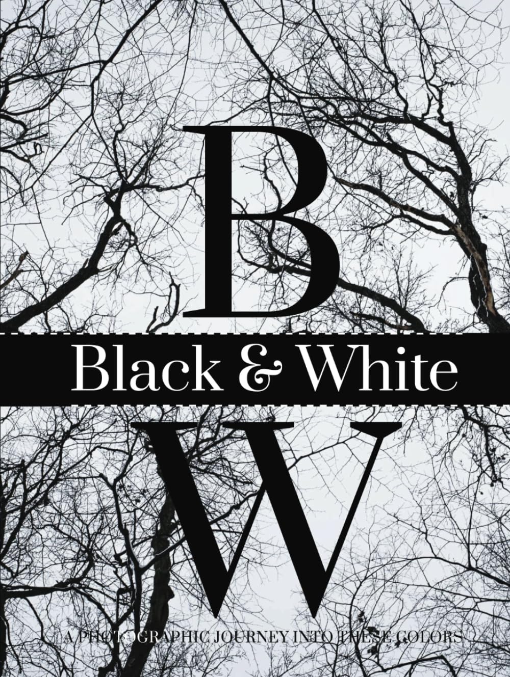 BLACK & WHITE voyage photographique pour sublimer la déco de votre salon moderne