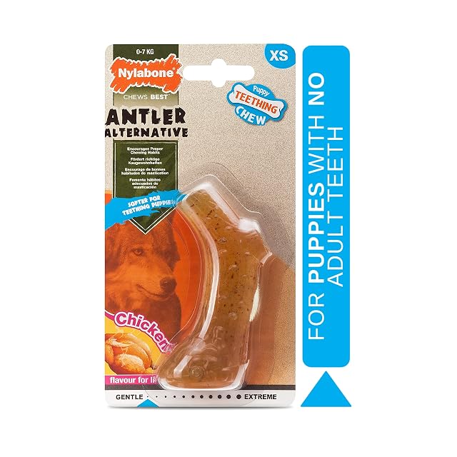 Foto 2 de 6 de Nylabone - Puppy Antler