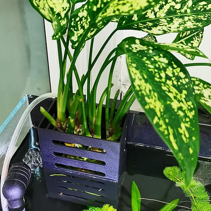 spansee Upgraded Hanging Aquarium Plant Holder, Aquatic