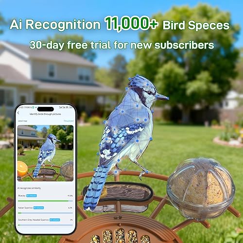 Miniatura 3 de Centvicam Comedero inteligente para pájaros con cámara, alimentadores exteriores de video HD 2K con panel alimentado por energía solar,