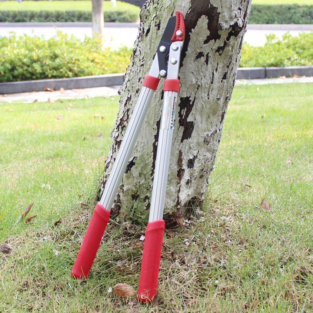 Garden Tool Bypass Lopper Curved Blade Aluminum Handle 21-1/2 Inch Length