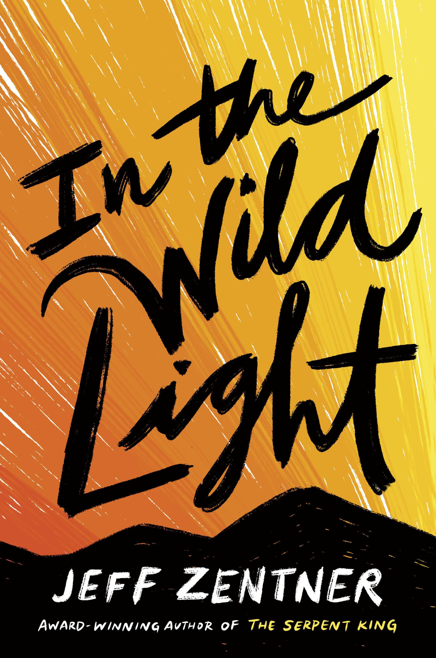 Buy In the Wild Light — BookShops.in