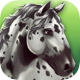 HorseHotel - Pflege deine Pferde