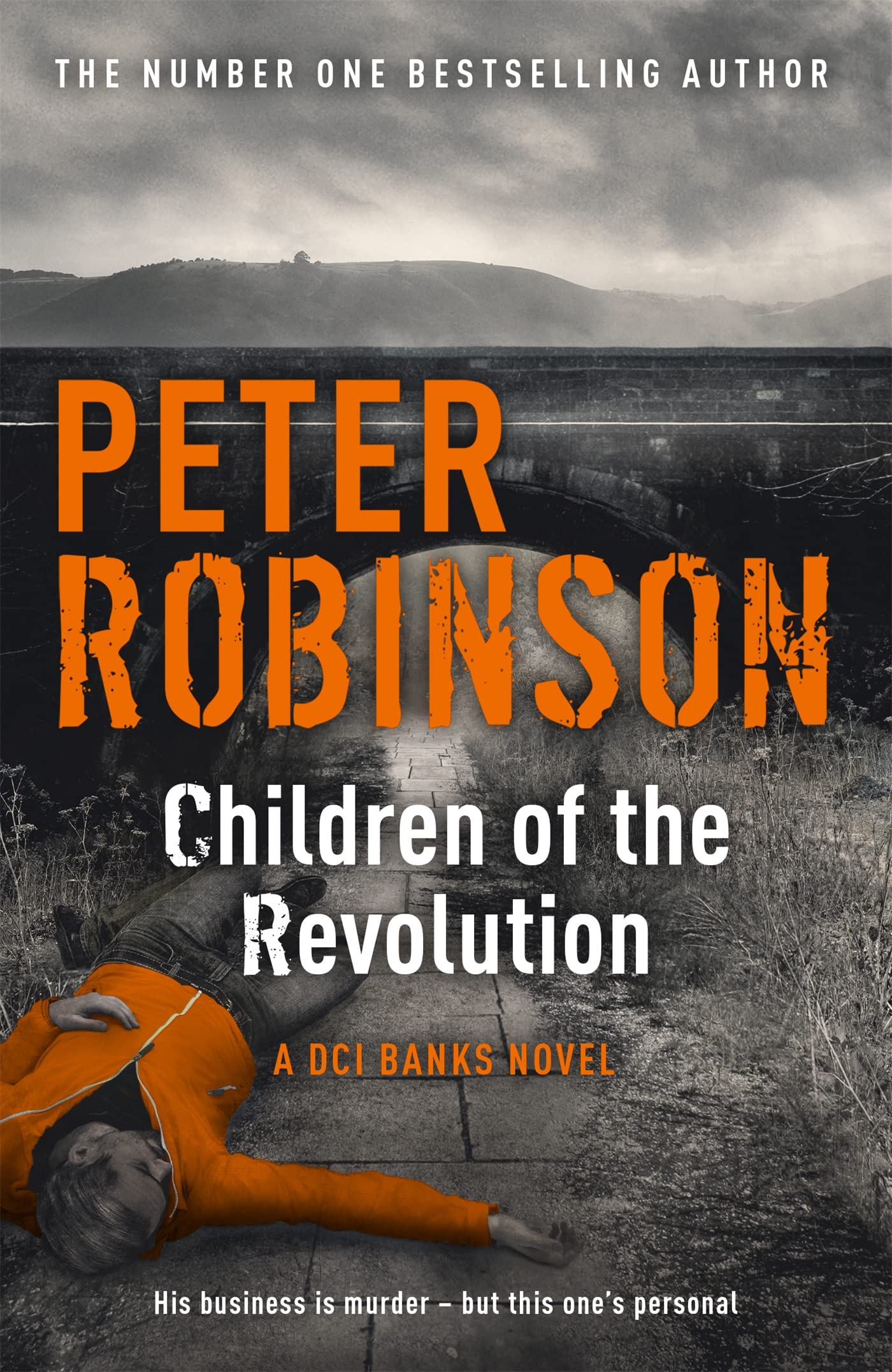 Children of the Revolution by Peter Robinson PAPERBACK 9781444704938