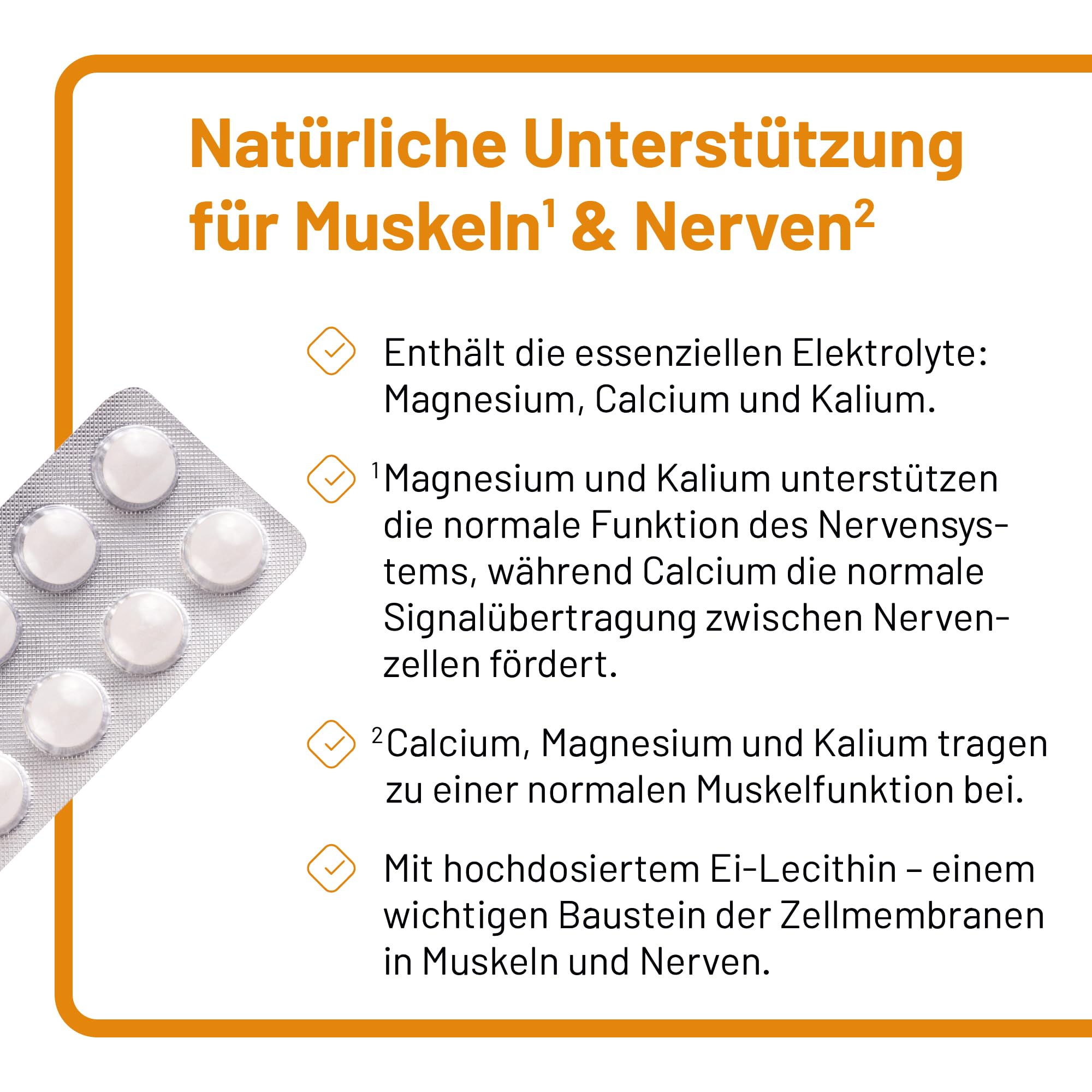 NE Tabletten – Elektrolyte & Ei-Lecithin zur Unterstützung von Nerven, Muskeln & Energiestoffwechsel – mit Magnesium, Kalium, Calcium in Citratform – gentechnikfrei & vegetarisch, 200 St