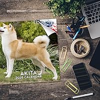 Vista 511 de Razas de Perros 2017