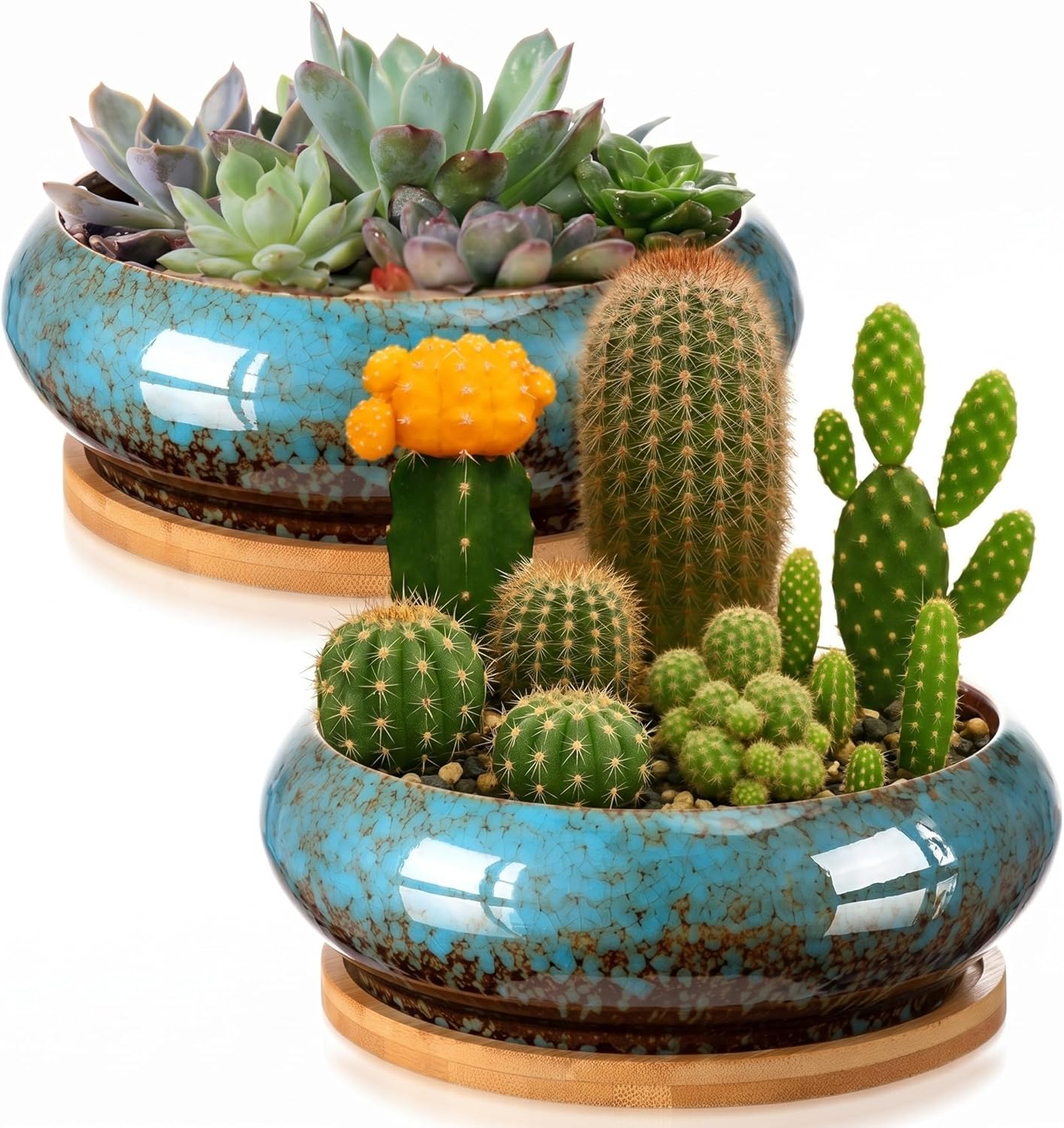 2 Pack 7.3 Inch Round Large Shallow Succulent Ceramic Planter Pots with Drainage Hole Drip Glazed Shallow Bonsai Pot with Bamboo Tray for Indoor Outdoor Plants Decor Cactus Flower