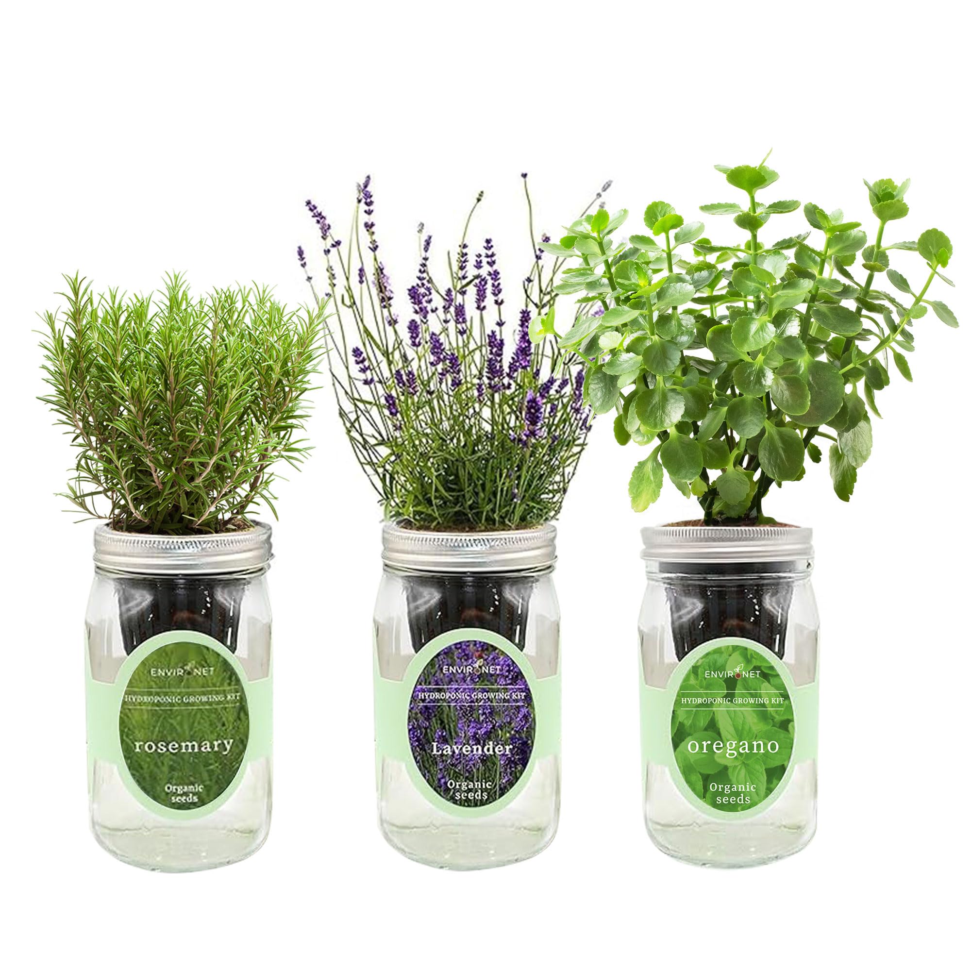 Environet Hydroponic Herb Growing Kit Set, Self-Watering Mason Jar Herb Garden Starter Kit Indoor, Windowsill Herbs Garden, Grow Your Own Herbs from