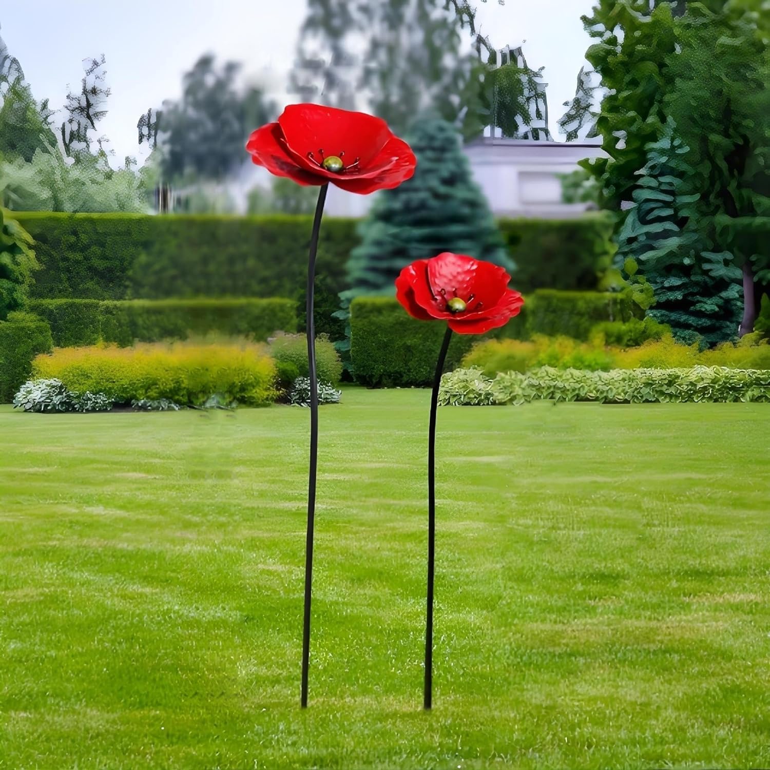 Décoration de sol coquelicot résistant à la pluie pour fleurir un jardin sans entretien