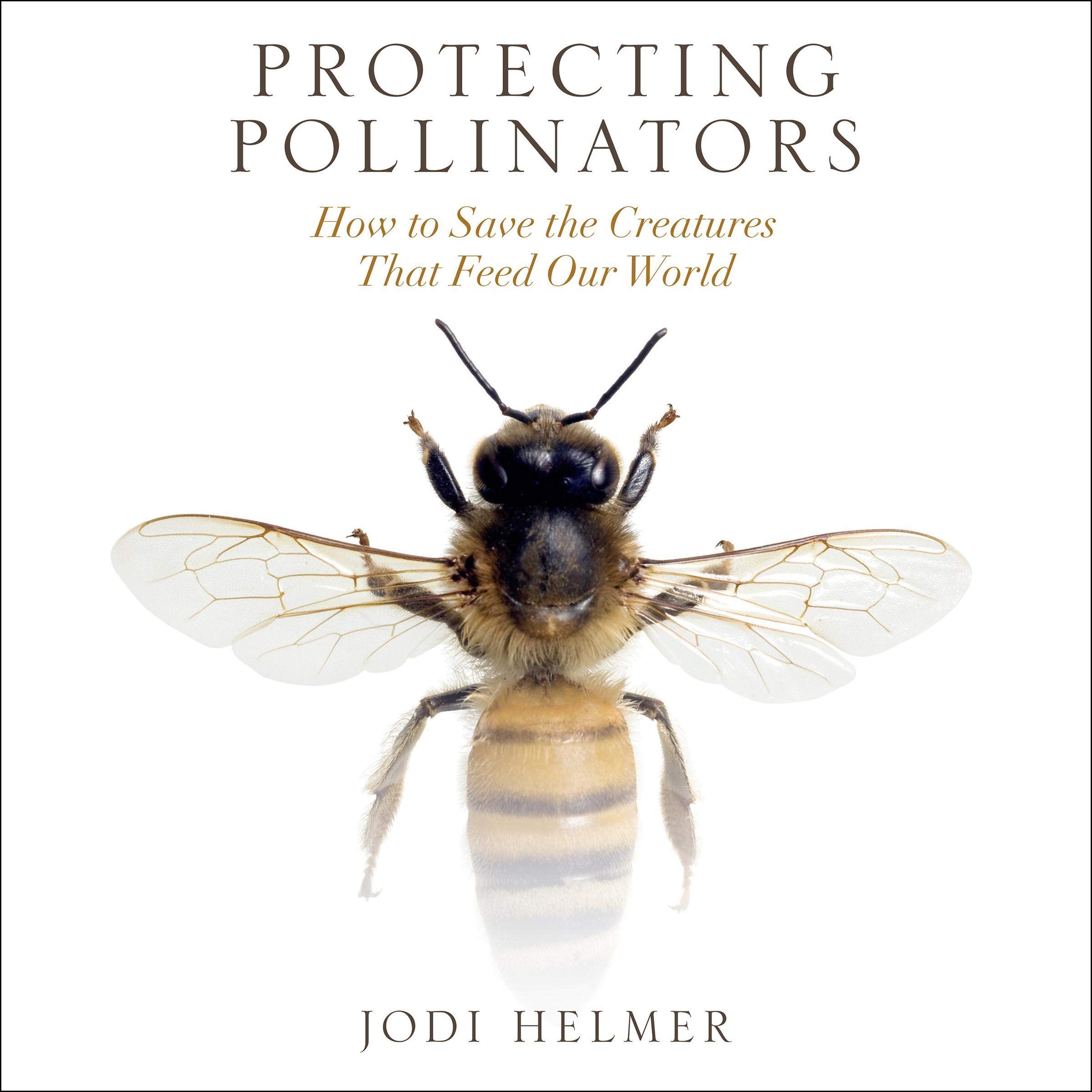 Cover art for Protecting Pollinators