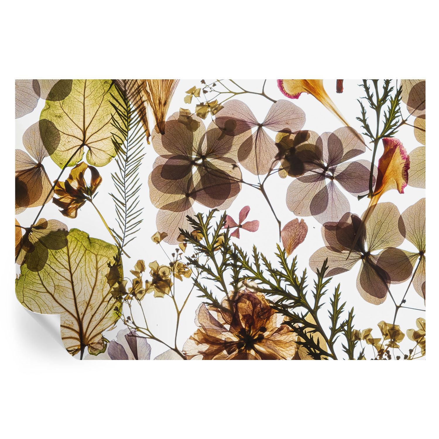 Papel pintado autoadhesivo de 152x104 cm para un dormitorio natural y relajante