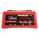 Deep Cycle Fast Charger for 12V 12 Volt Batteries - 2/10/50 amp Charge Methods