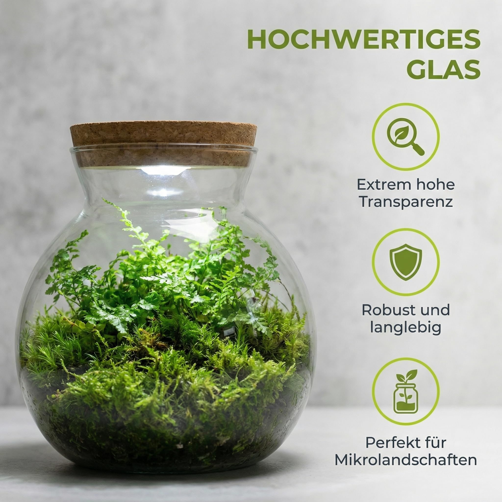 UKCOCO Bouteille en verre - Bouteille de paysage - Récipient transparent - Petit récipient de conservation - à champignons - Bocaux LED avec bouchon en liège - Vase de paysage pour