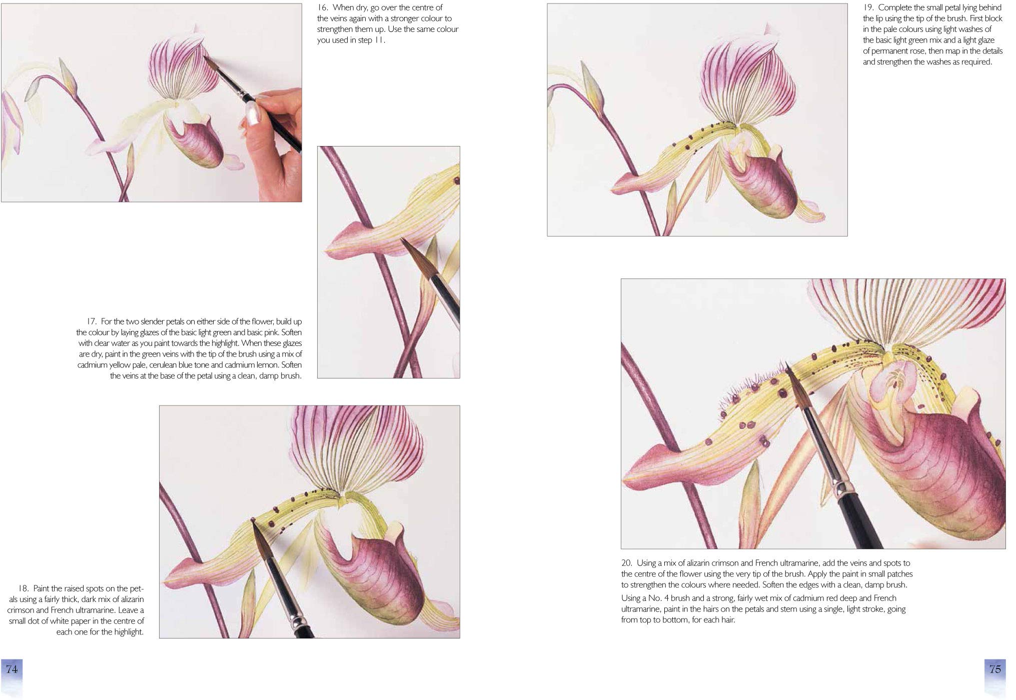 Watercolour Flower Portraits