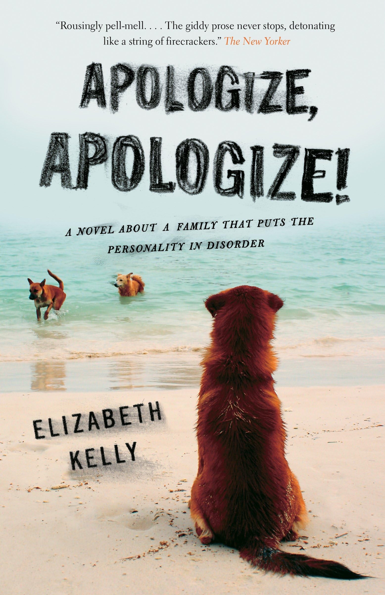 Buy Apologize, Apologize! โ BookShops.in