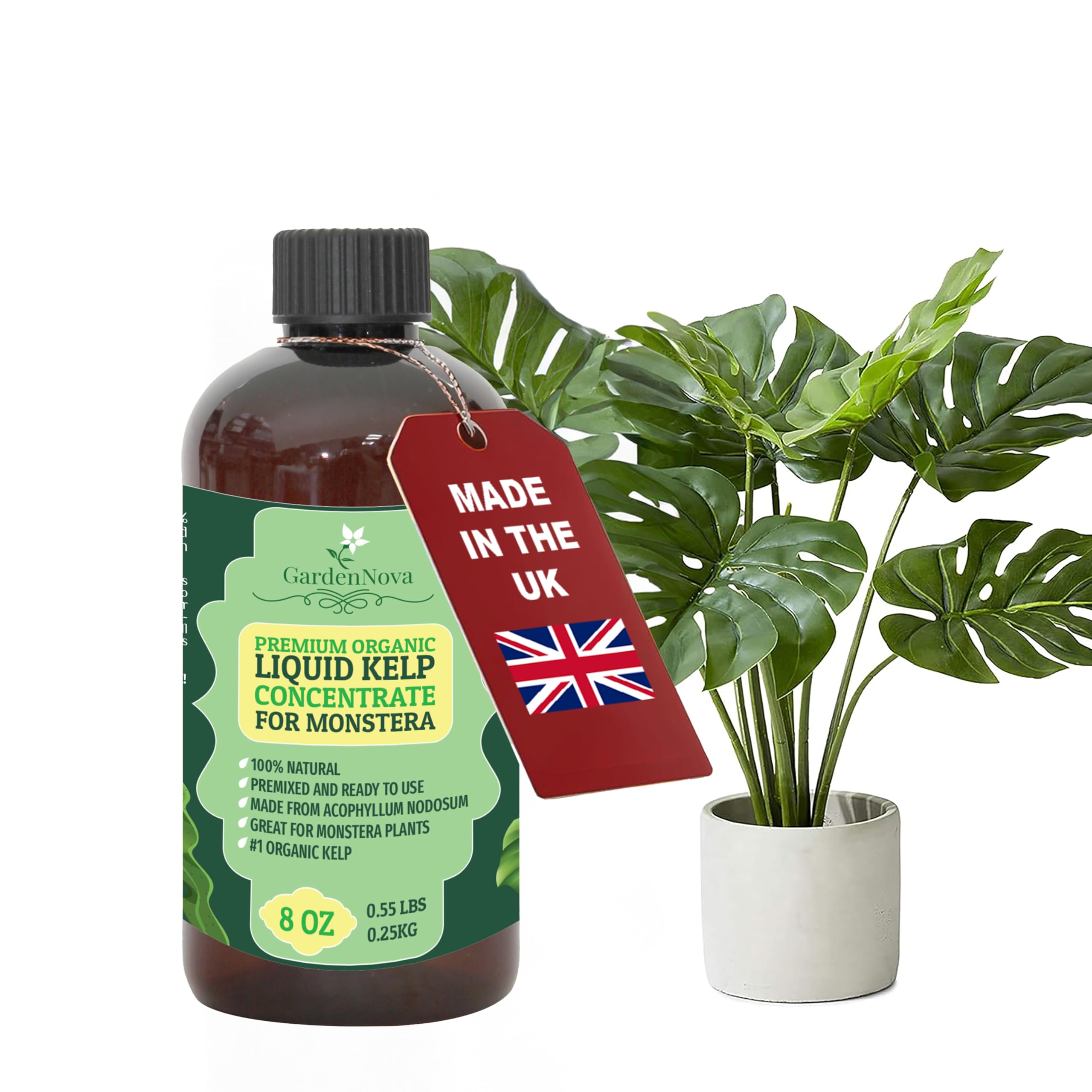 GARDENNOVA Premium Organic Seaweed & Kelp Superfood for Monstera Plants - 8 oz - Liquid Kelp Fertilizer Concentrate (Makes 25 Litres)
