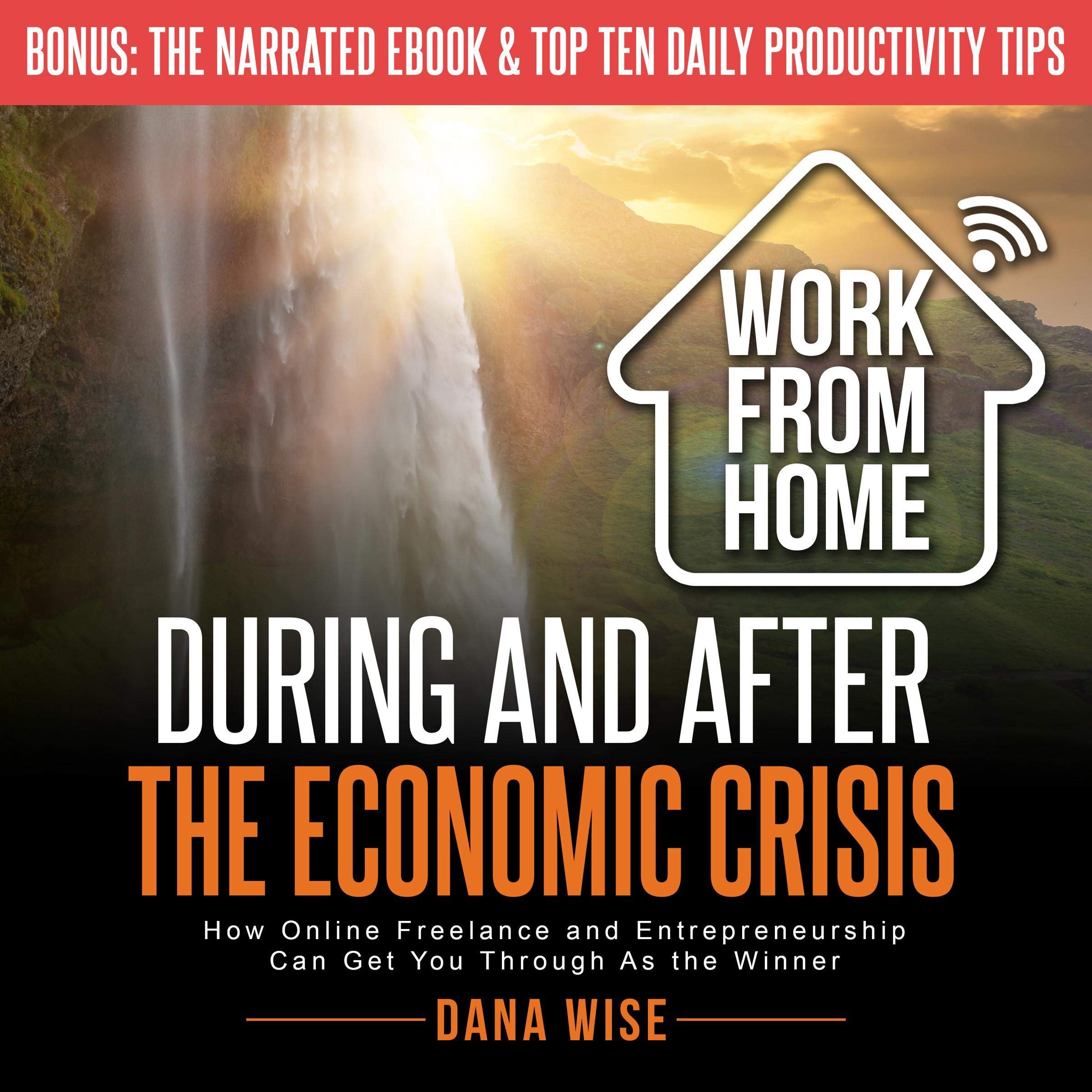 Cover art for Work from Home During and After the Economic Crisis