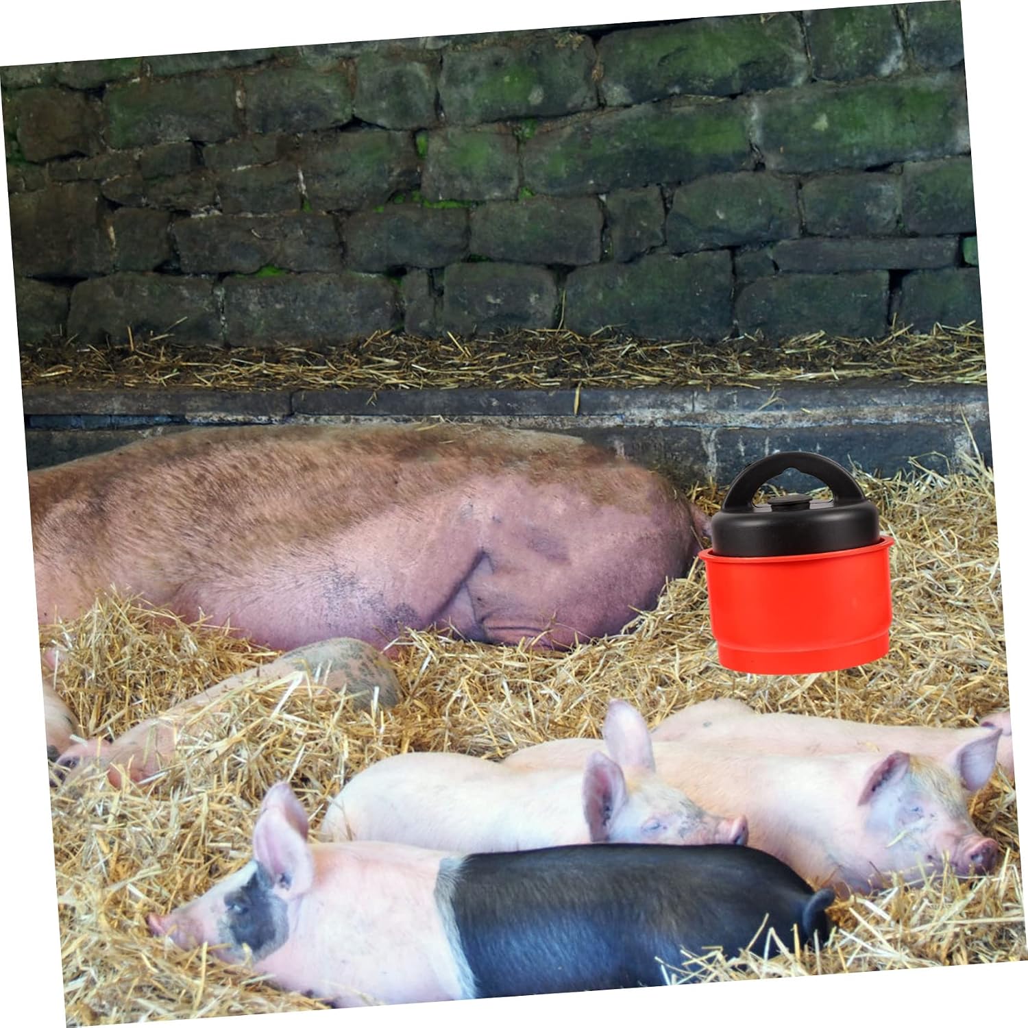 Abaodam Professional Reusable Sewer Stopper for Pig Farms Drain -Blocking Design for and Easy