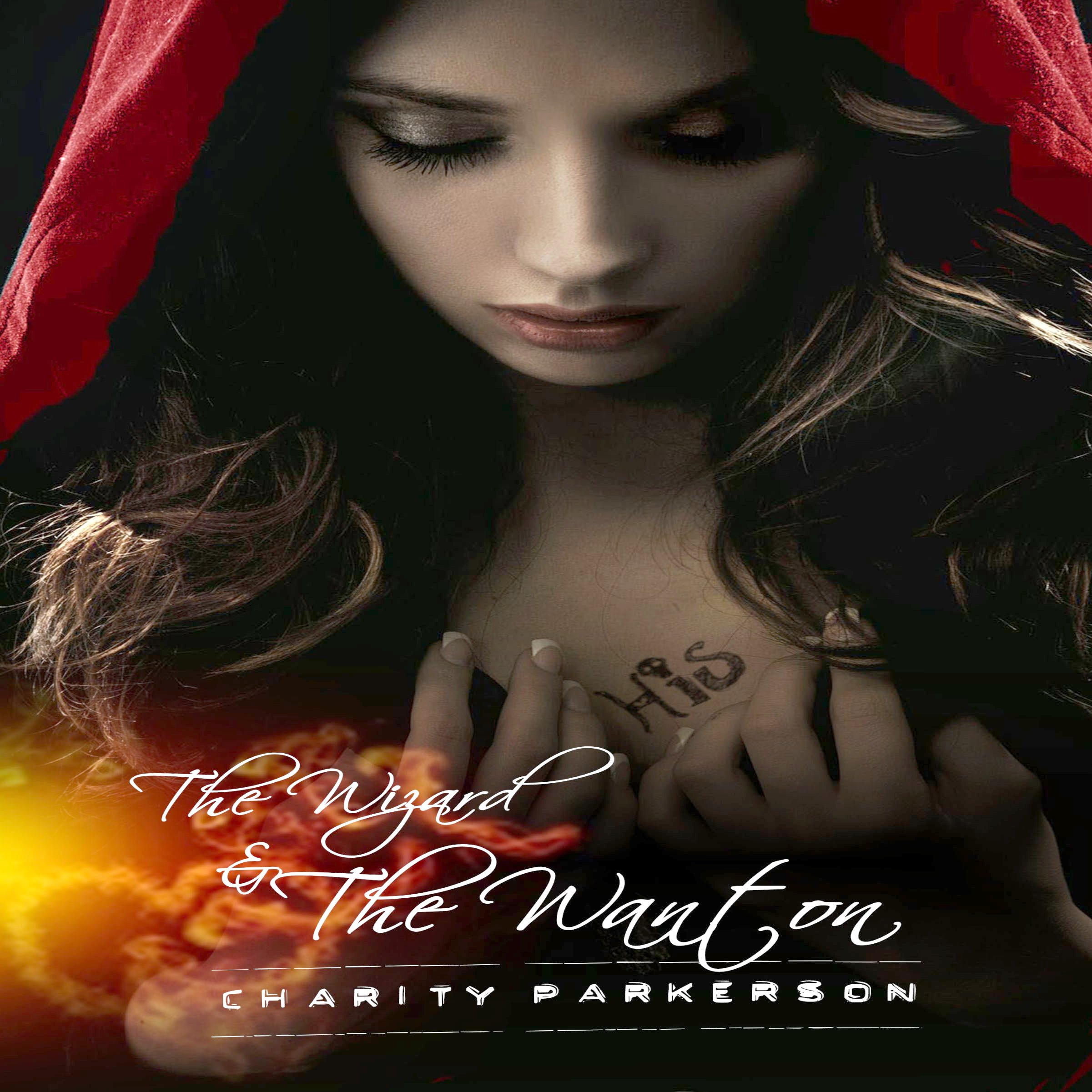 Cover art for The Wizard & The Wanton