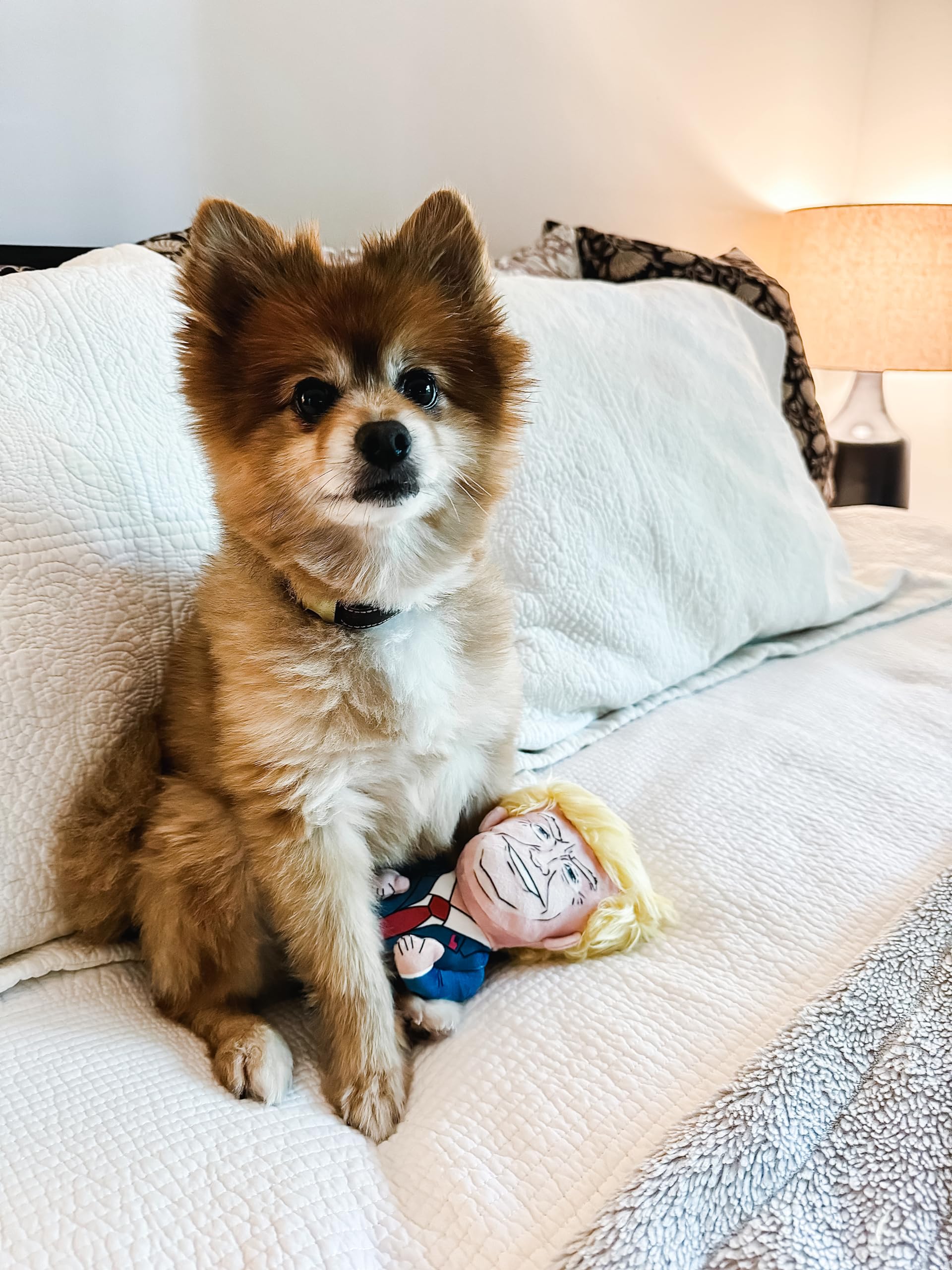 Donald Trump Hundespielzeug mit Quietschelement, lustiges politisches Kauspielzeug für Hunde und Katzen, perfekt zum Apportieren, Kauen und Kuscheln, integrierter Quietscher für ununterbrochene