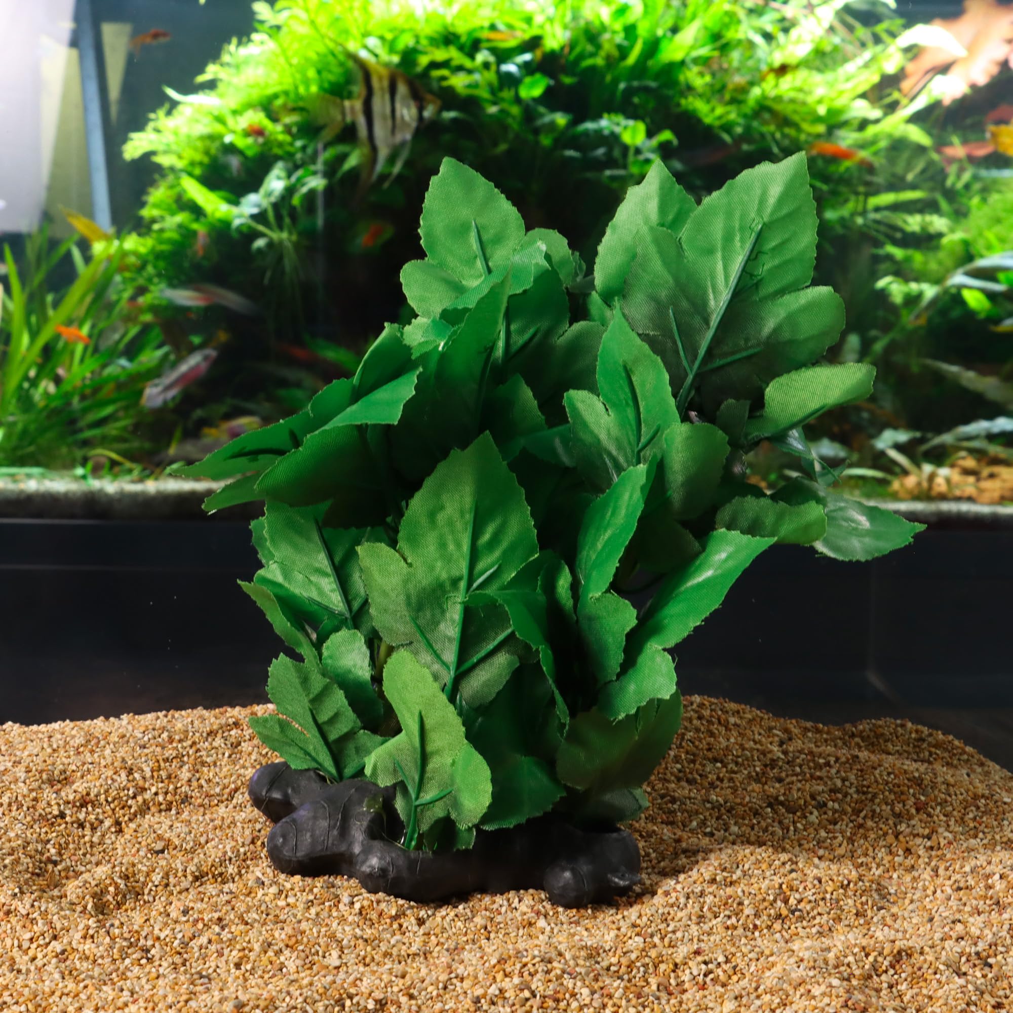 Amtra Wave Hygrophila Plante Réplique pour Aquariophilie 30 cm