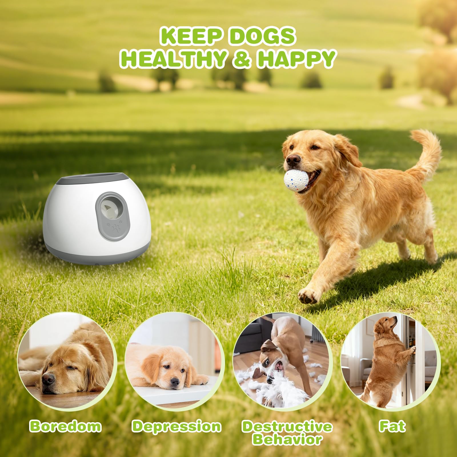 lancia palline per cani,lancia pallines per canii automatico con 6 pallinee da tennis da 2'',palla interattiva per canii distanza regolabile 10/20/30ft spara pallines per cani giochi