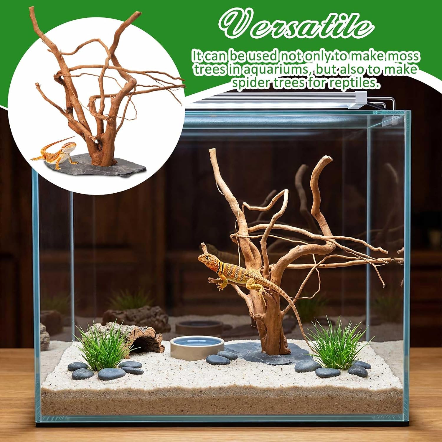 AceOrbit Large Driftwood for Aquarium, 12-15 Inch Spider Wood on Slate Stone, Natural Spiderwood Aquarium Driftwood Aquascaping Wood for Reptile Enclosure, Terrarium, Reptile Tank, Fish Tank Decor