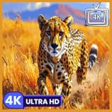 Immersion totale dans la forêt tropicale avec pluie et oiseaux