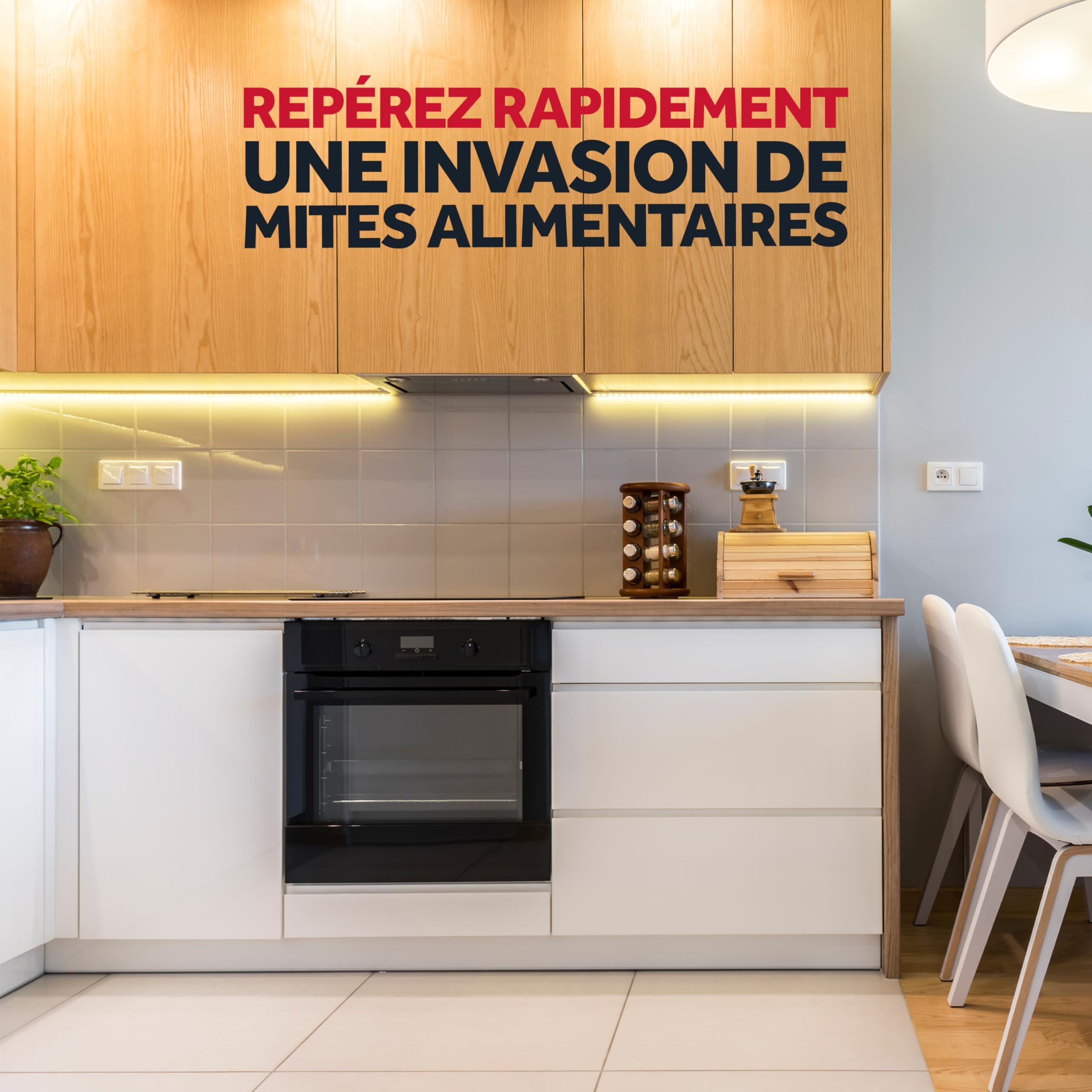 BAYGON Pièges Mites Alimentaires Protection Cuisine 2 mois Efficacité Sans Odeur 3 Unités
