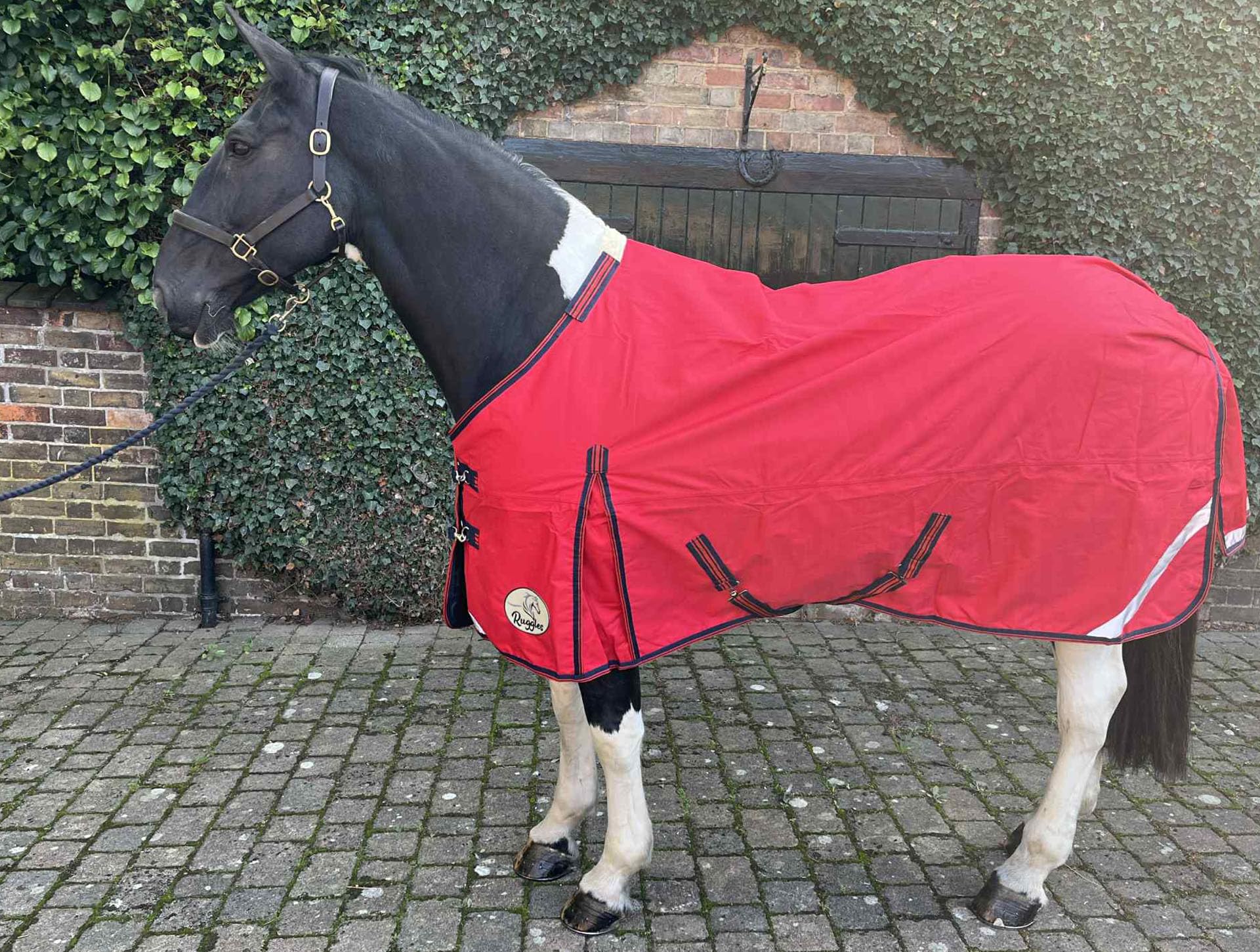 Ruggles 50g Lightweight Turnout Rug for Heavy Horses - Shire Clydesdale Percheron | 1200D Teflon Coated Outer | Waterproof Breathable | Perfect for Wet Windy Weather (Tomato Red, 6')
