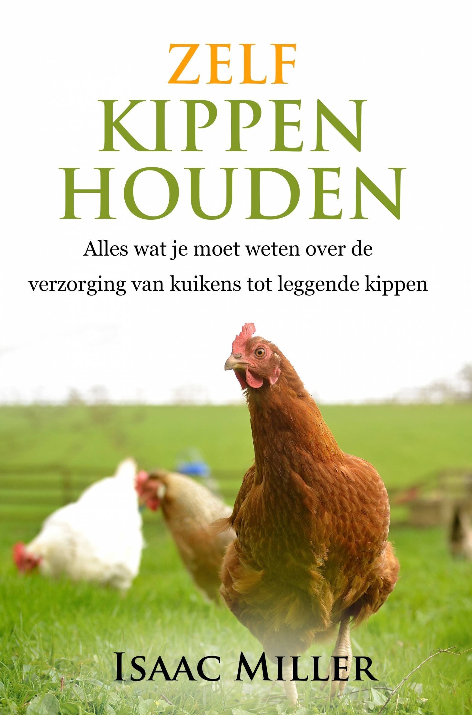 Buy Zelf kippen houden Alles wat je moet weten over de van kuikens tot leggende Buy Zelf kippen houden Alles wat je moet weten over de van kuikens tot leggende