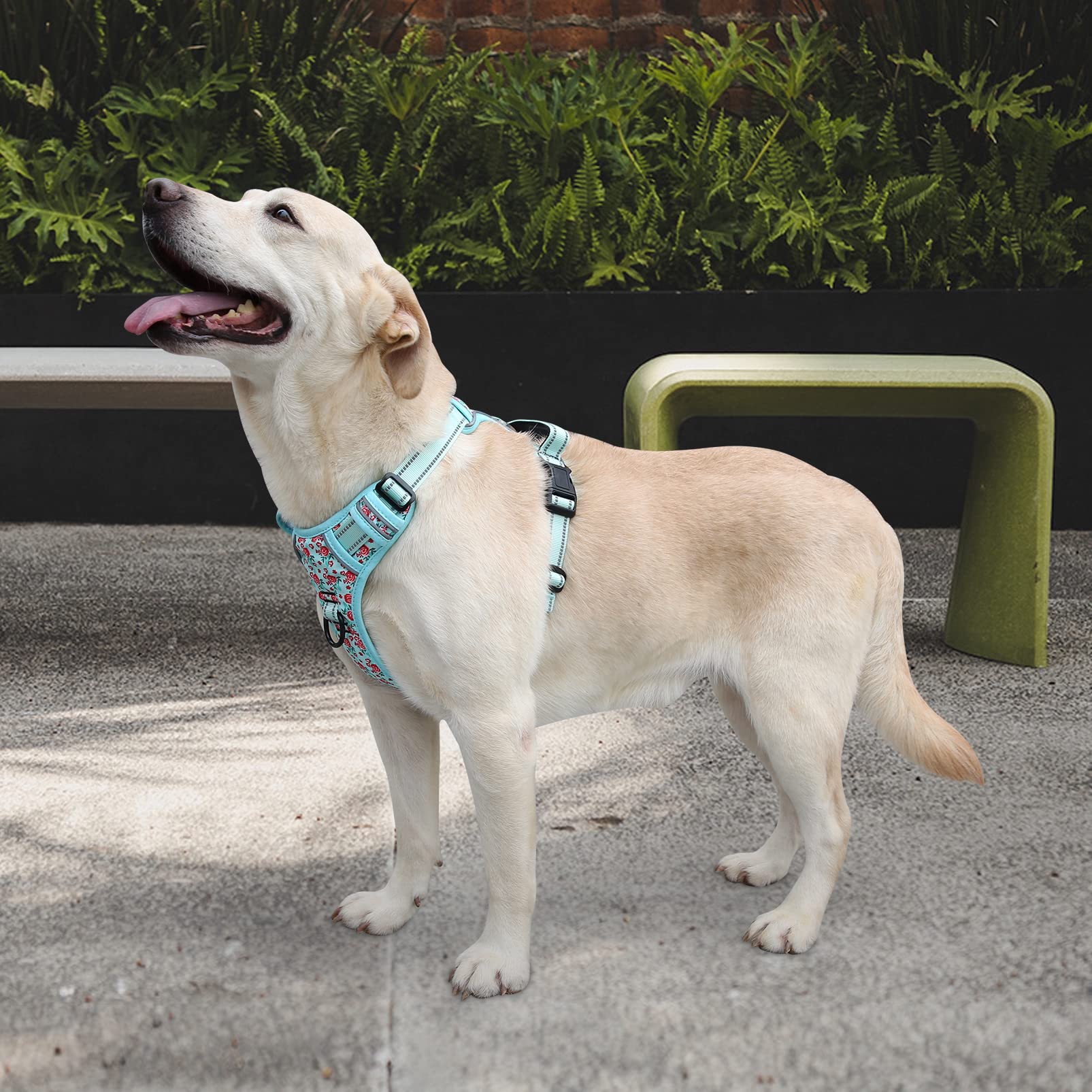 HEELE Pettorina Cane, Imbracatura Sganciata Rapido dal Collo, Pettorina Anti-tiro Riflettente e Regolabile con Maniglia Comoda, Morbida e Imbottita per Cani Piccola Media Grande, Floral-Ciano L