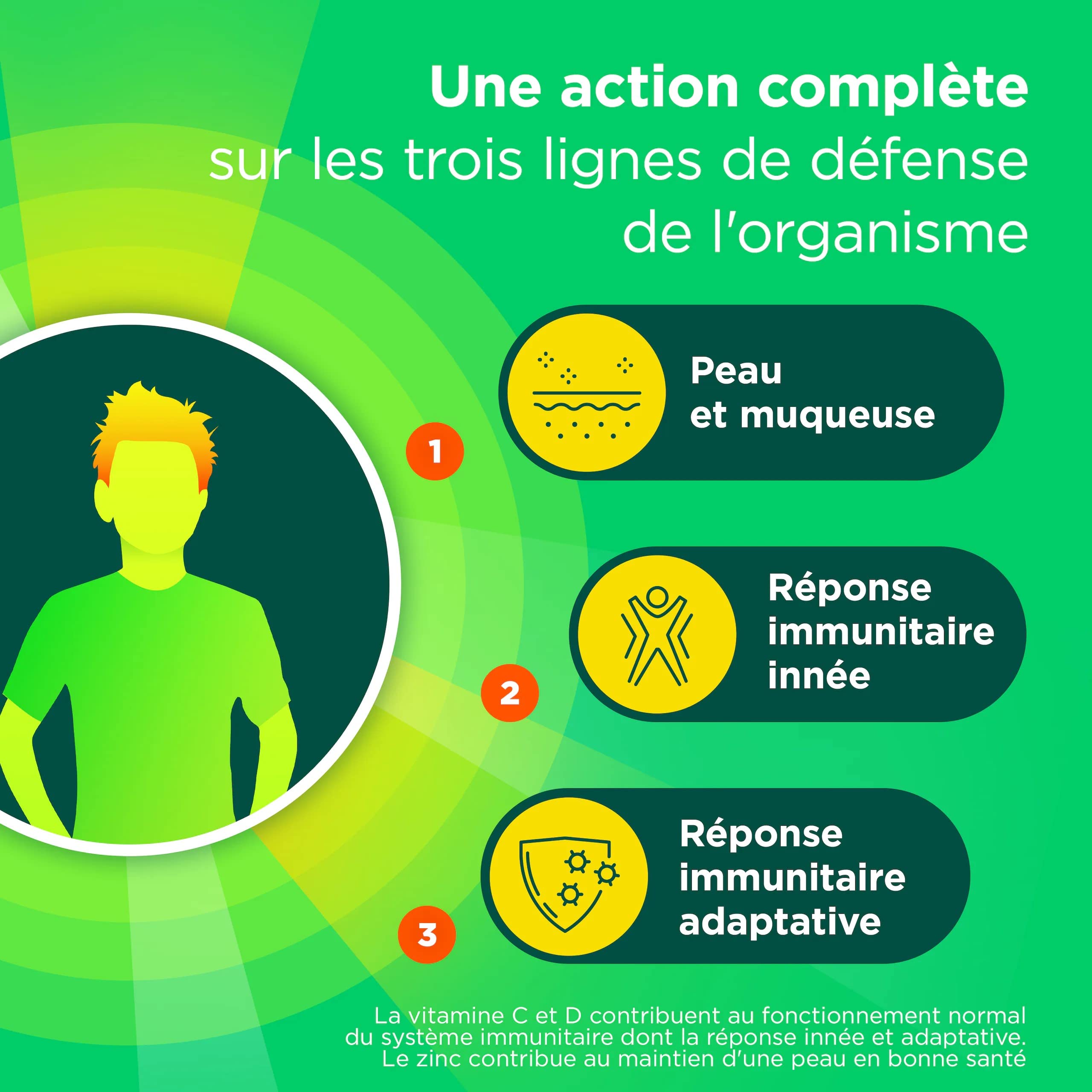 Berocca® Immunité Défense - Préparez vos défenses naturelles - Echinacée, Vitamine D, Vitamine C, et Zinc - Souche microbiotique- Complément alimentaire - 112 comprimés (4x28) - Fabriqué en France