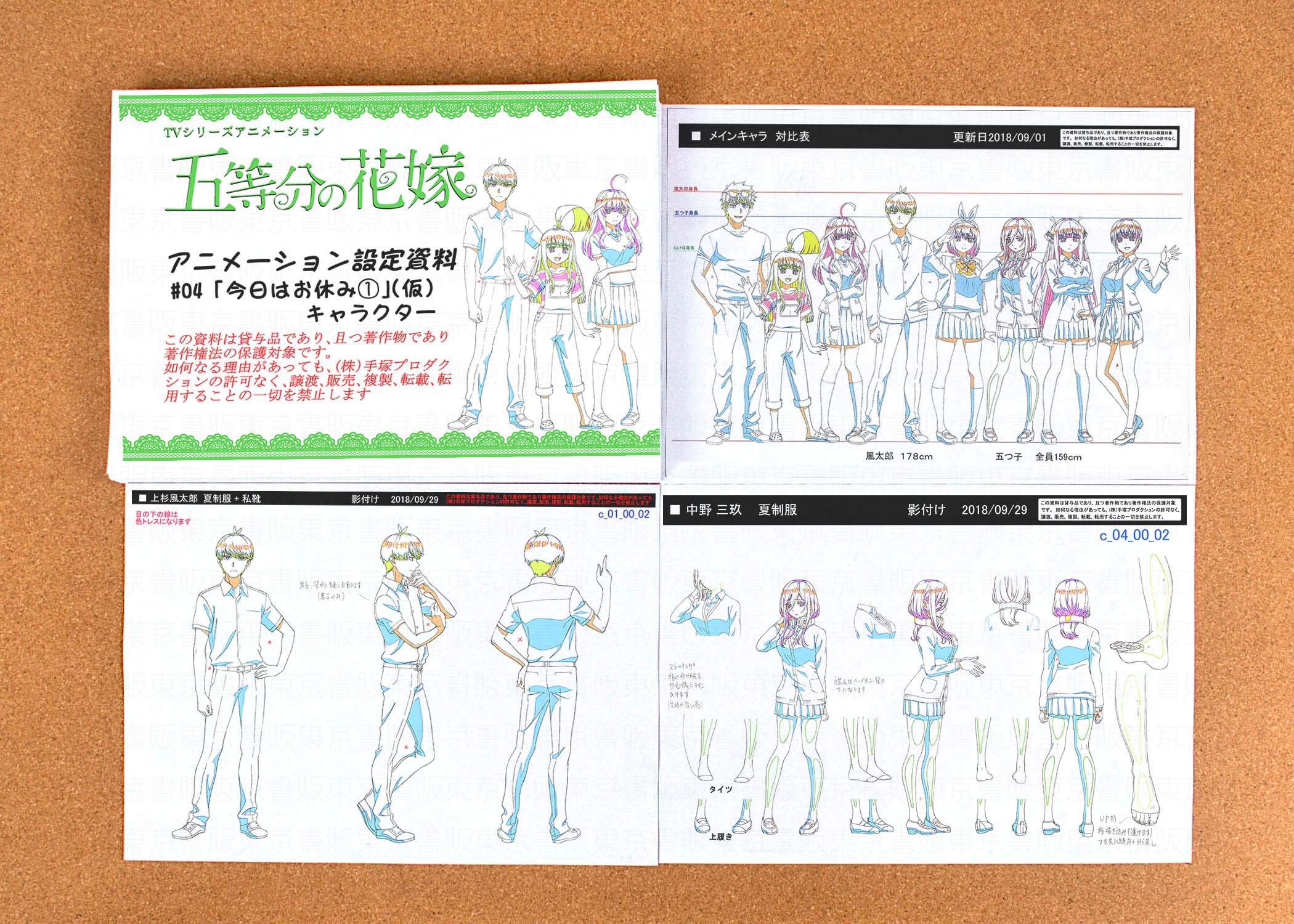 Amazon.co.jp: 五等分の花嫁 設定資料 制作資料 【133枚】【東京書販