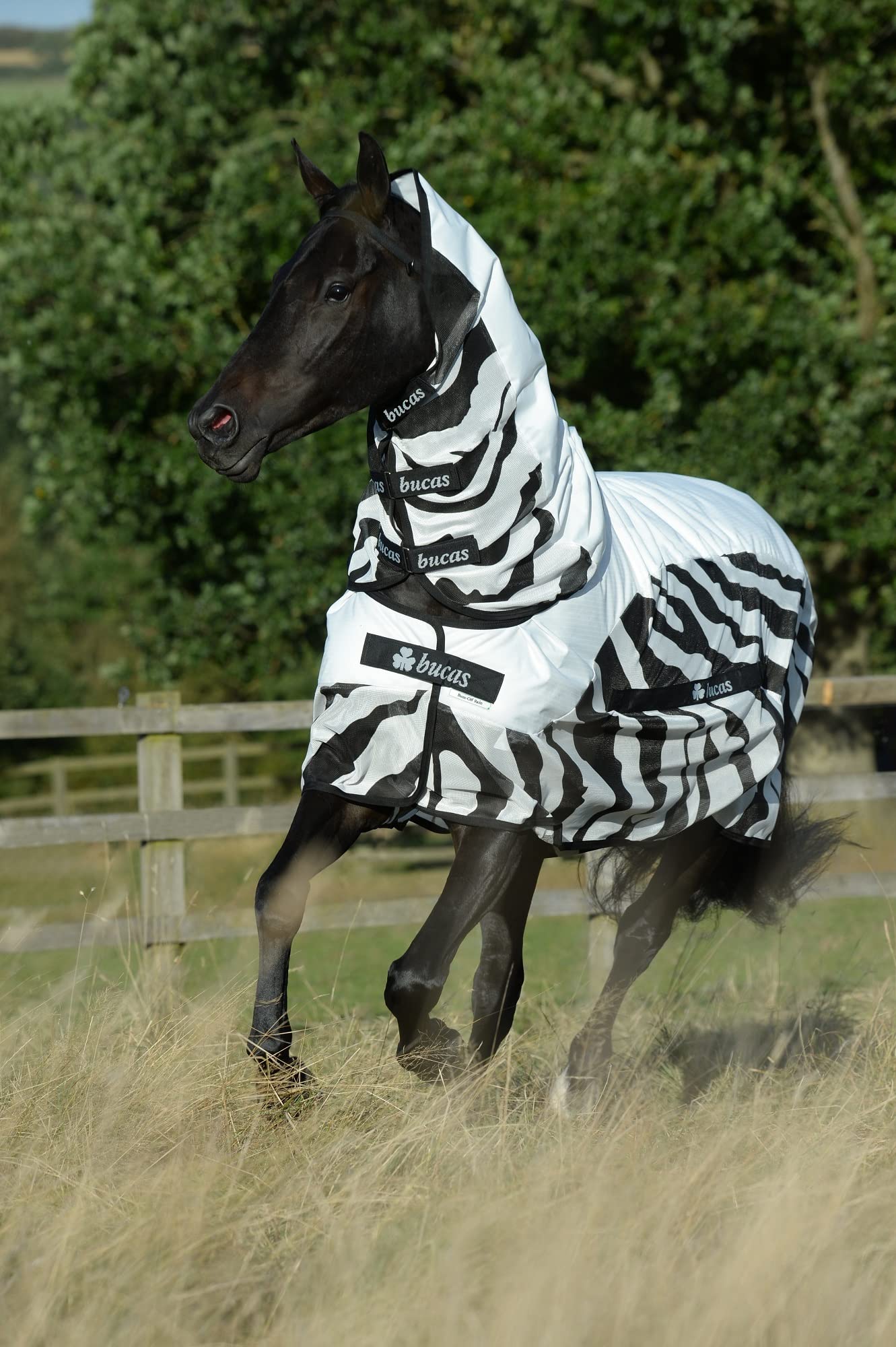 Bucas Buzz-Off Rain Zebra & Neck, kolor: zebra, rozmiar: 145 cm / 6'6