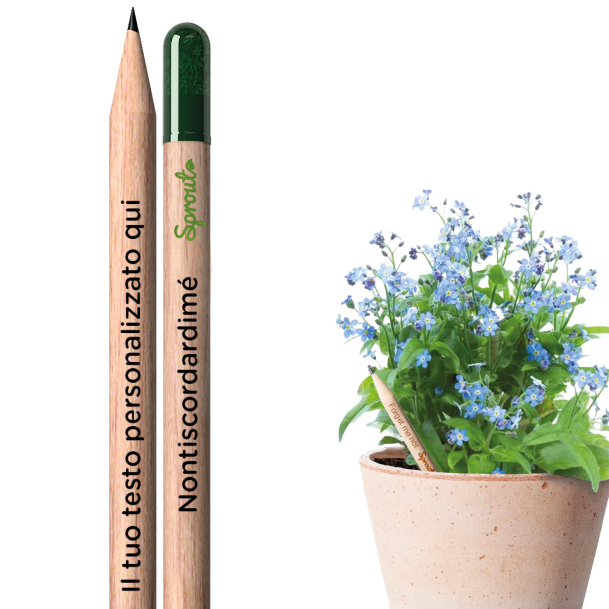 Sprout World Matite Piantabili Personalizzate Non ti scordar per eventi | Logo, testo o icona stampati a colori, per aziende, eventi e matrimoni, regalo ecologico originale, per scuola e ufficio