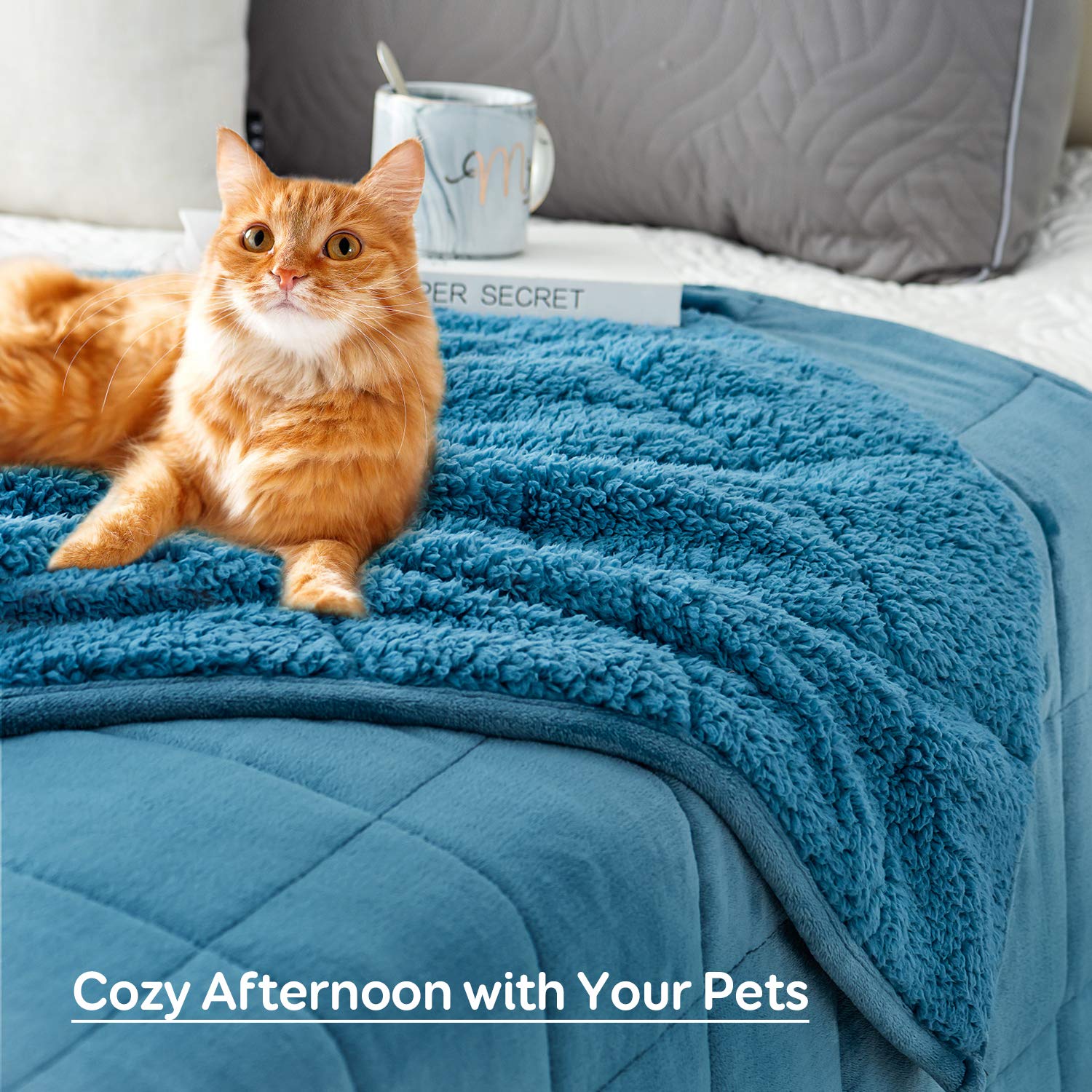 Sivio Sherpa Fleece Weighted Blanket for Adult, 15lbs Fuzzy Throw Blanket  with Soft Plush Flannel, Reversible Queen Size Super Soft Extra Warm Cozy