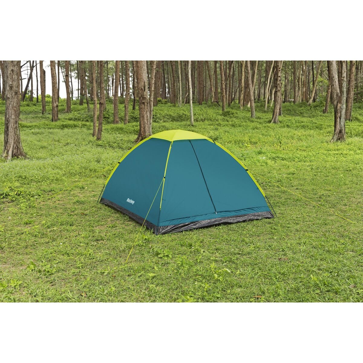 Bestway 4-Personen-Zelt Wander Dome, 200 x 240 x 135 cm, Wasserdichtes PU-beschichtetes Polyester, Fiberglas-Stangen, Insektennetz, Innentasche, Bodenschutz, 8 Heringe, Tragetasche