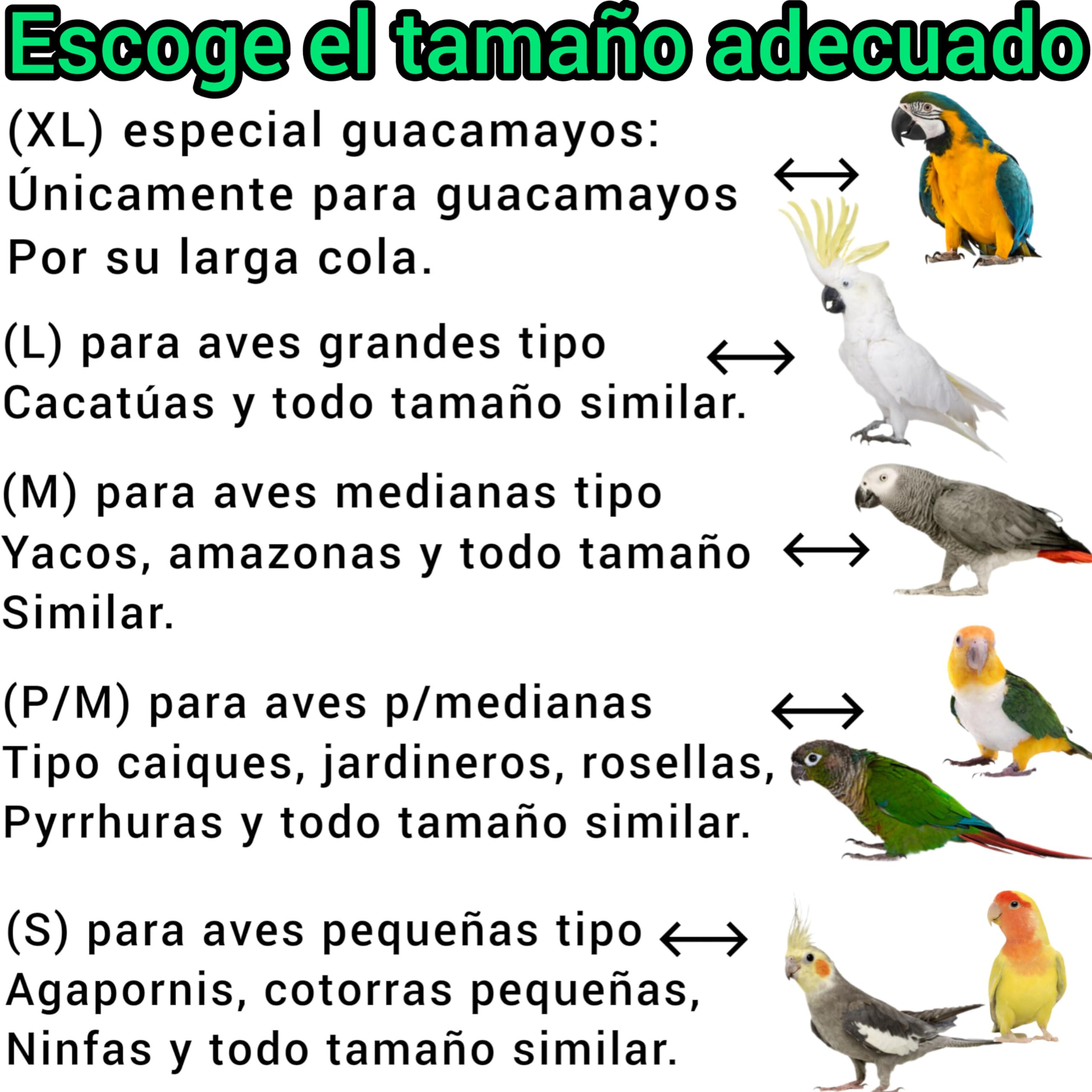 Pack posadero de mesa para loros, percha de guacamayo, cacatúa, base de hpl estable, juego interactivo yaco, comedero de ninfa inoxidable, CALIDAD PREMIUM. (Efecto mármol gris/negro, L)