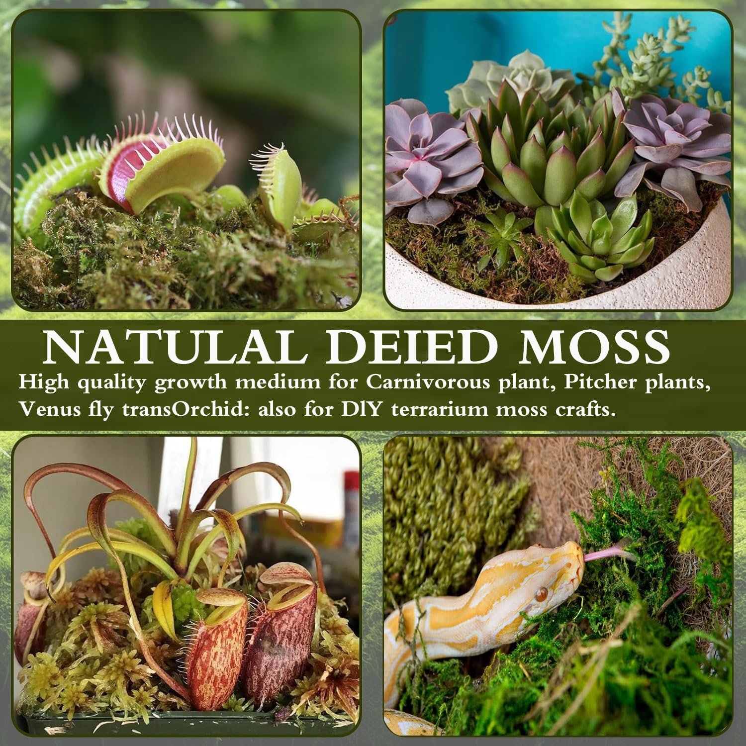 Sphagnum Moss for Plants 5L Terrarium Reptiles Moss Green Dried Peat Moss Habitat Bedding Moss Real Moss Soil Cover for Houseplant and Other Reptiles Substrate - Image 4