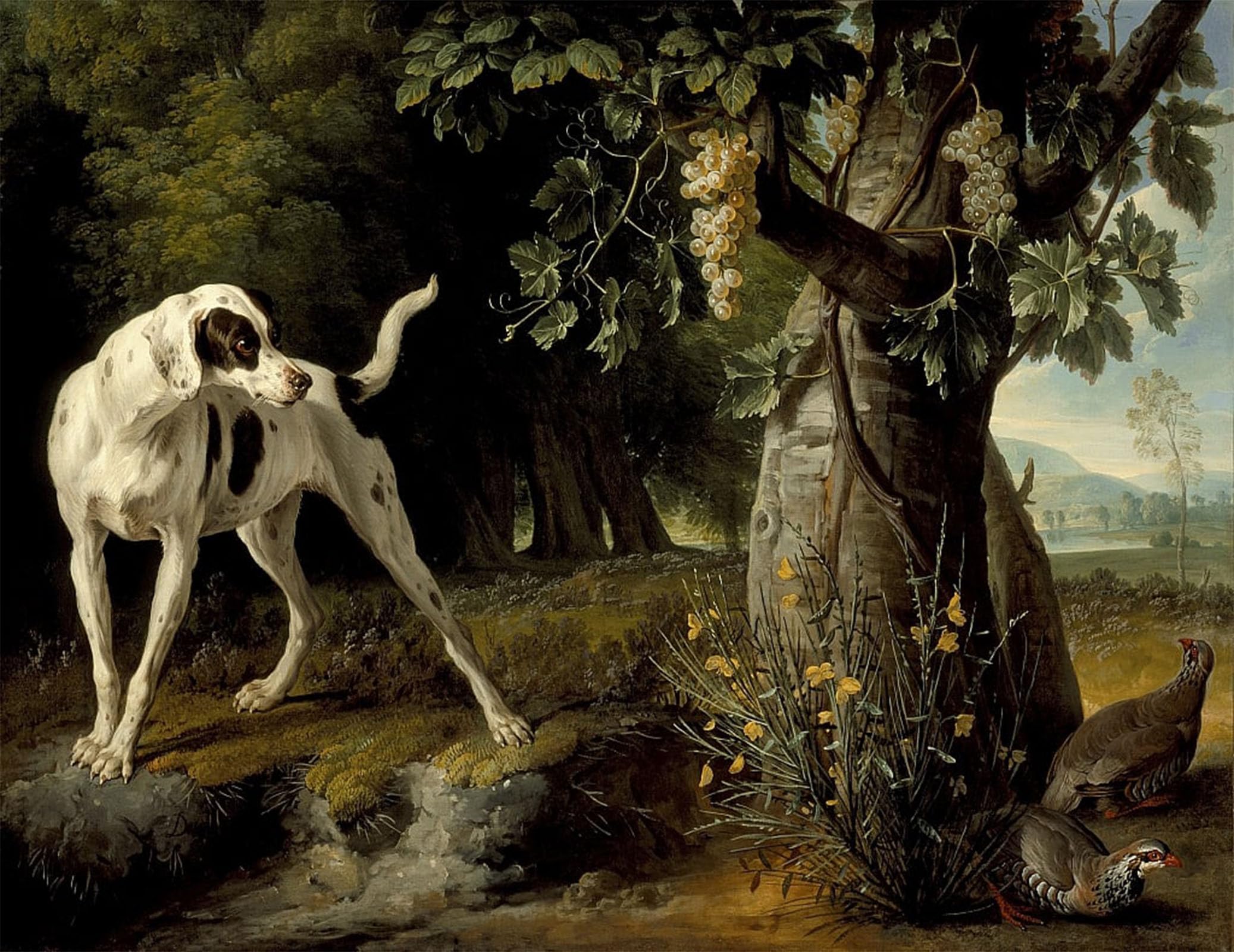 ARTXLXXBN Famous Painting Canvas Artwork Graffiti Print Landscape with a Dog and Partridges by Desportes Portrait Canvas Image for Home Decor 60x90cm