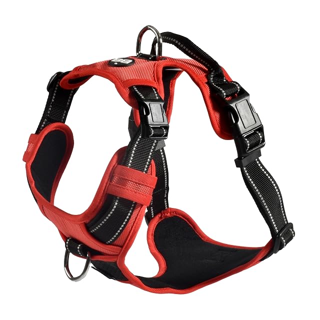 Bobby Rando Walk - Arnés para Perros Talla XS, de Nailon Reflectante, Hebillas Ajustables de Cierre Seguro…