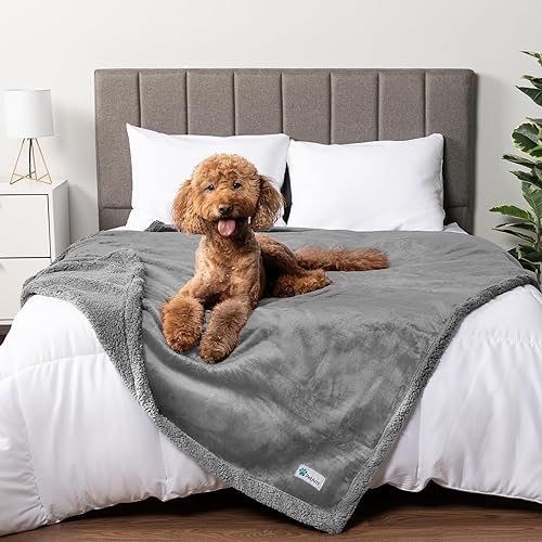 Miniatura 28 de PetAmi - Manta impermeable para perro, sofá, manta de sherpa gris impermeable para perros grandes, cachorros | forro polar de microfibra supersuave